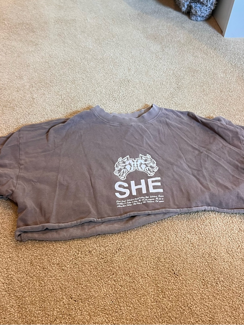 She darc sport oversized cropped tee